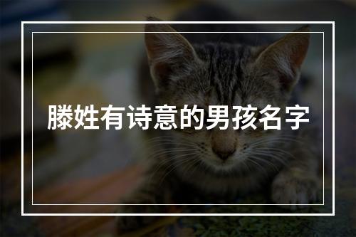 滕姓有诗意的男孩名字