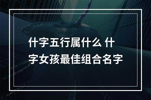 什字五行属什么 什字女孩最佳组合名字