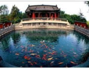 章丘明天天气